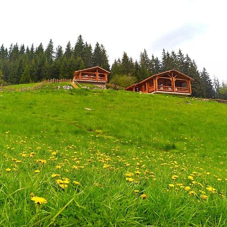 Къщи За Гости Под Звездите Pamporovo Eksteriør bilde